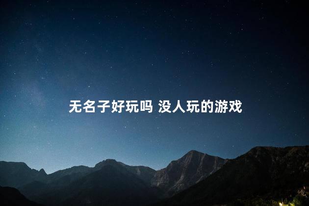 无名子好玩吗 没人玩的游戏